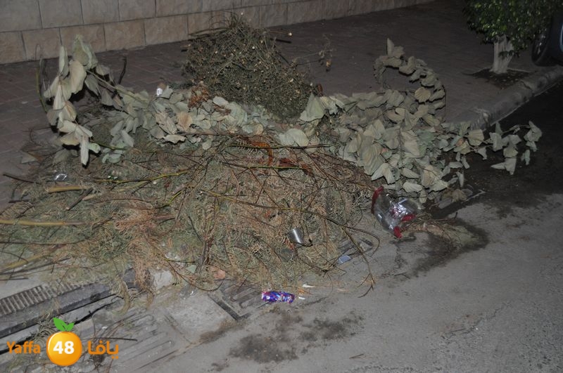 trash lud 907 (58).JPG